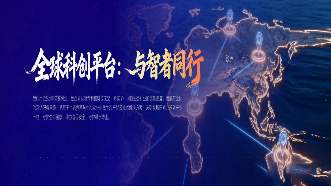 816e58f5-d3b4-4c41-b9ea-8dc13916a704.png