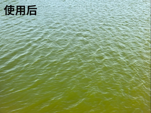 95bf9d0fe5bfe97e85cb86f7e801b93c.png